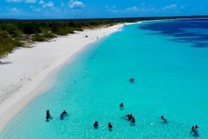 Bahía de las Águilas Privato Full Day VIP Tutto compreso Da Santo Domingo