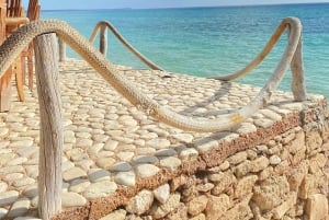 Bahía de las Águilas Privato Full Day VIP Tutto compreso Da Santo Domingo