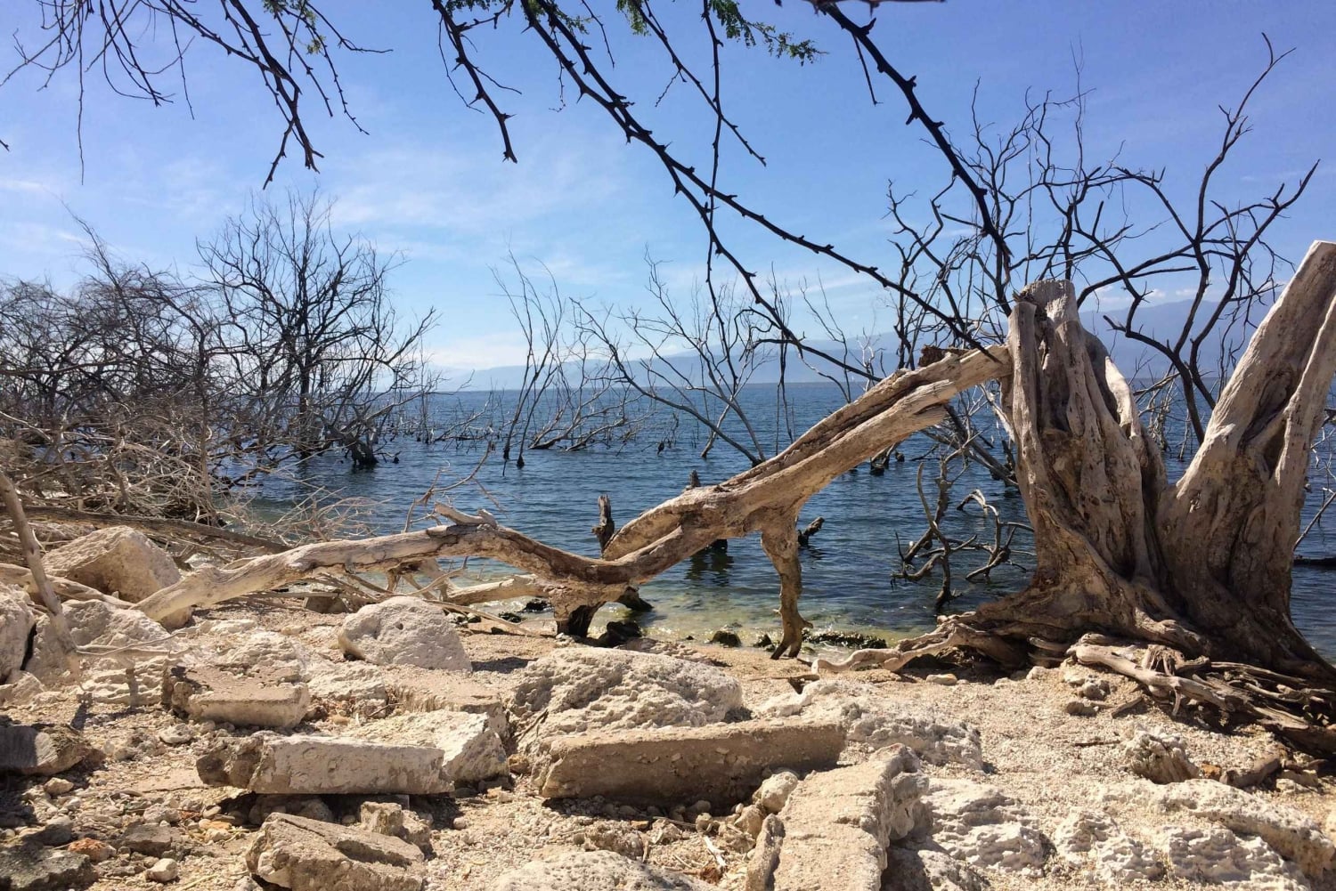 Barahona: Lake Enriquillo Discovery Tour