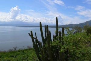 Barahona: Lake Enriquillo Discovery Tour