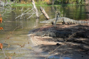 Barahona: Lake Enriquillo Discovery Tour