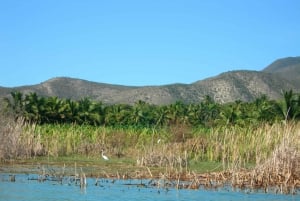 Barahona: Lake Enriquillo Discovery Tour