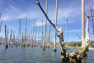 Barahona: Lake Enriquillo Discovery Tour