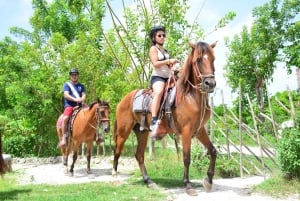Punta Cana: Entrada al Parque Aventura Bávaro con Opciones