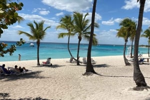 Bávaro: Dykning på Catalina Island med grill och dryck