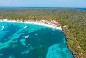Bávaro: Dykning på Catalina Island med grill och dryck