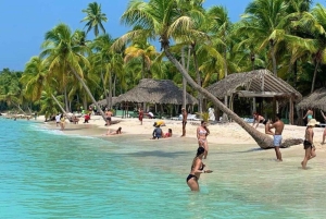 Bavaro: Saona Island Speedboat Tour with Open Bar