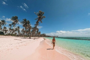 Bavaro : Excursion en hors-bord VIP sur l'île de Saona avec Open Bar