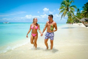 Bavaro: Saona Island VIP Speedboat Tour mit Open Bar