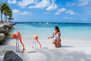 Bávaro: Passeio de lancha VIP pela Ilha Saona com Open Bar