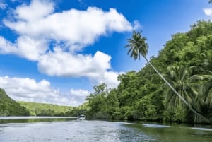 Bayahibe and Altos de Chavón: Guided 5-hour Buggy Tour