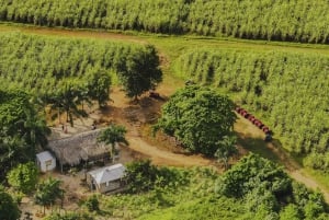 Bayahibe: ATV Tour with River Chavón and Local Tastings