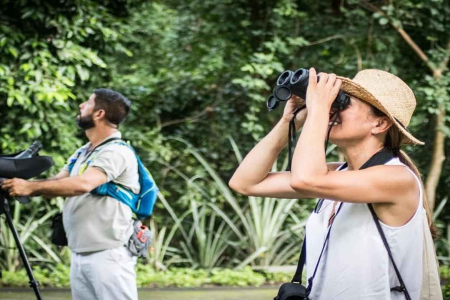 バヤヒベ：ガイド付きバードウォッチングツアー