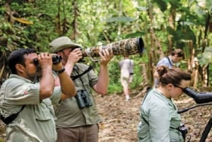 Bayahibe: Vogelbeobachtungstour mit Guide