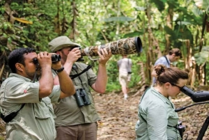バヤヒベ：ガイド付きバードウォッチングツアー