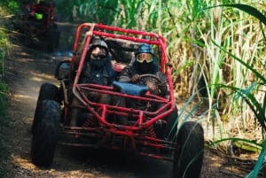 Bayahibe: Buggy tour amazing half-day