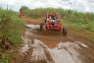Bayahibe: Buggy tour amazing half-day