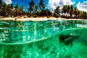 Bayahibe : excursion de plongée sous-marine à l'île Catalina avec déjeuner