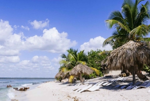 Bayahibe : excursion de plongée sous-marine à l'île Catalina avec déjeuner