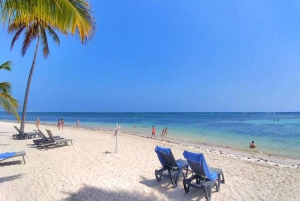 Bayahibe : excursion de plongée sous-marine à l'île Catalina avec déjeuner