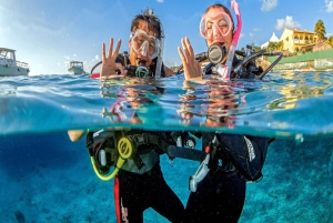 Bayahibe : excursion de plongée sous-marine à l'île Catalina avec déjeuner