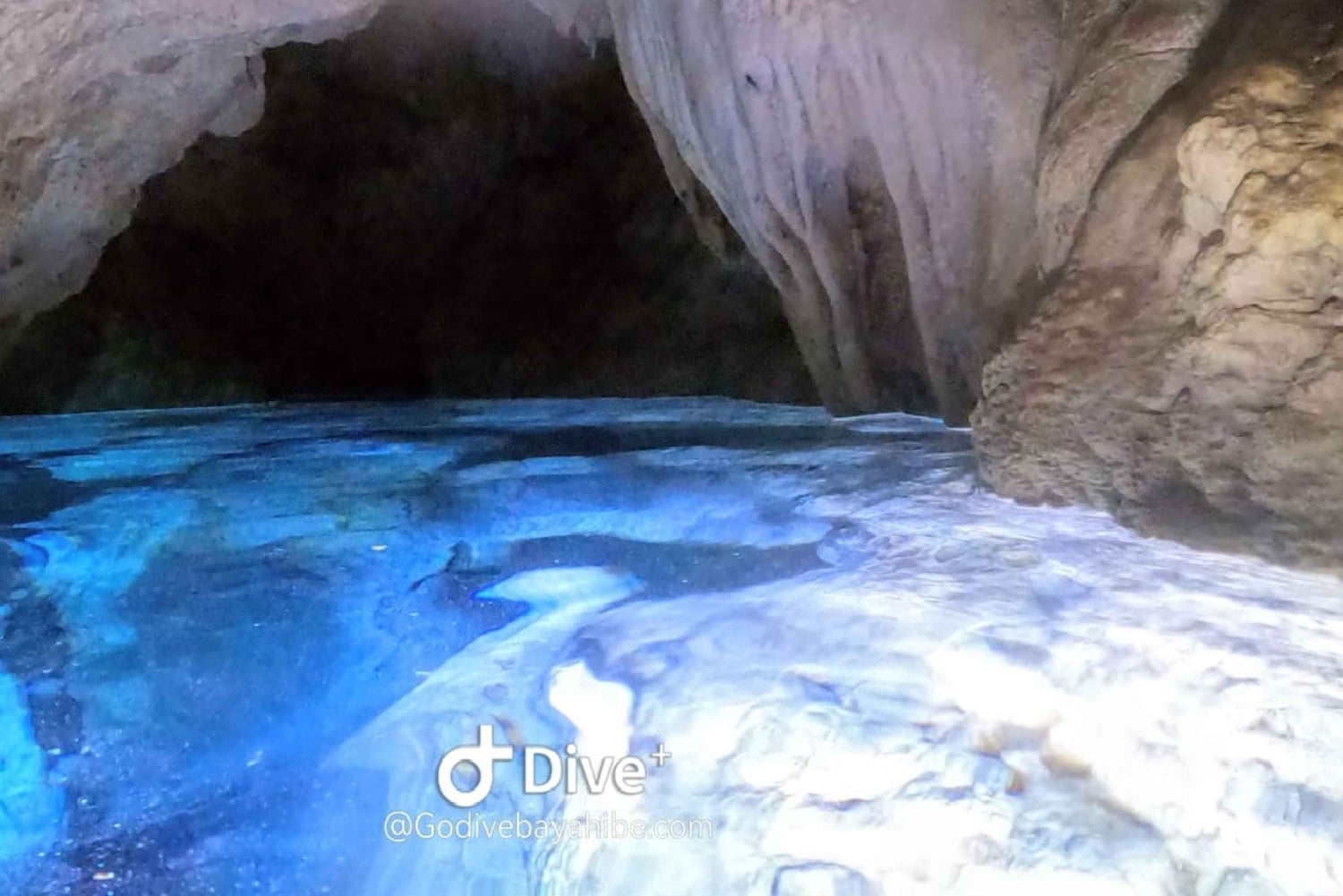 Bayahibe - Immersioni nei cenotes - Godive Bayahibe