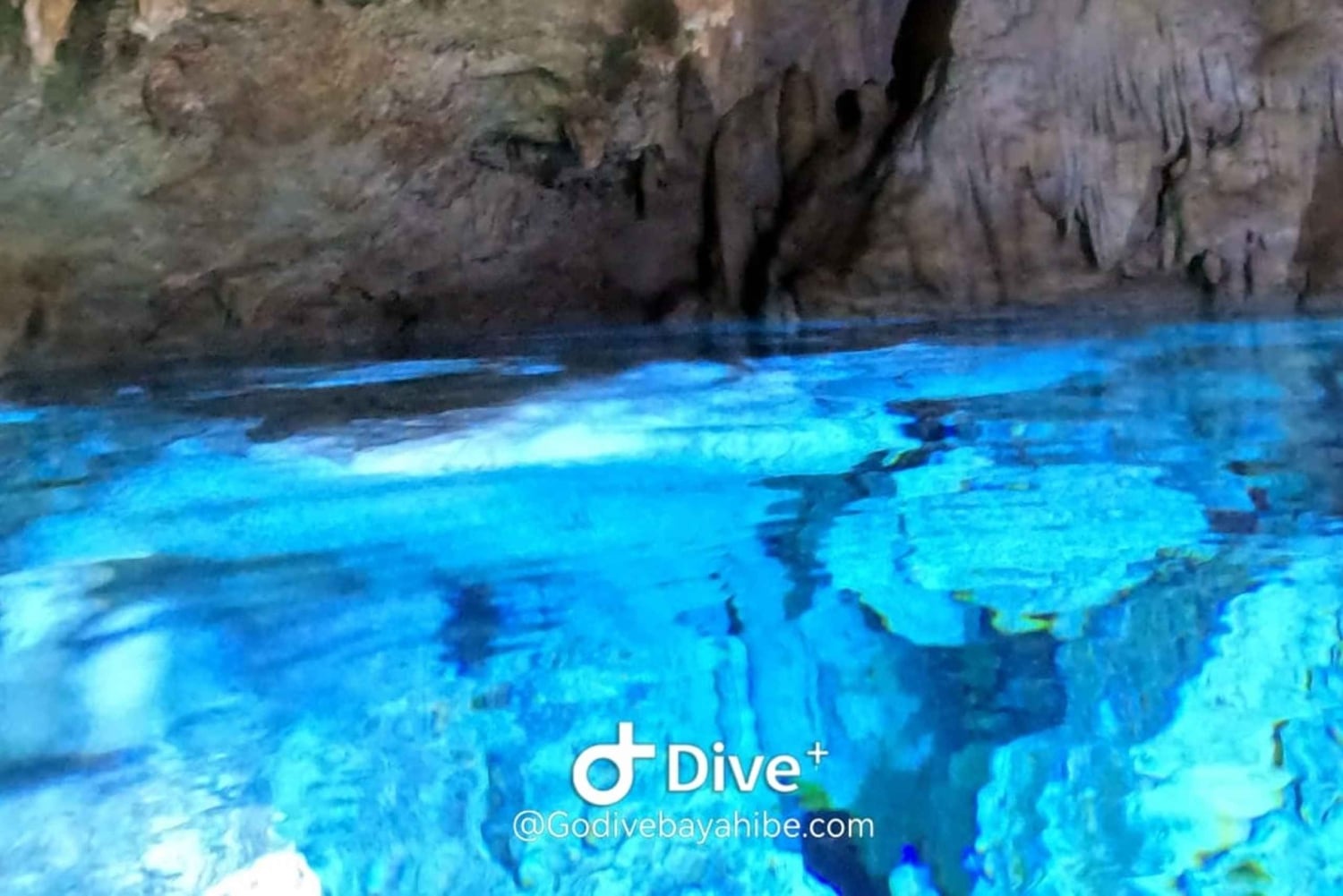 Bayahibe - Immersioni nei cenotes - Godive Bayahibe