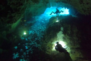 Bayahibe - Plongée sous-marine dans les cénotes - Godive Bayahibe