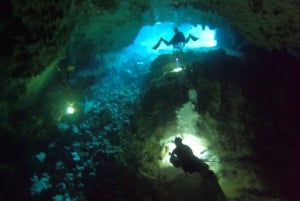 Bayahibe - Immersioni nei cenotes - Godive Bayahibe