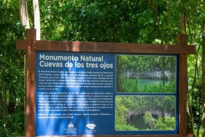 Bayahibe: Colonial Zone and Los Tres Ojos Tour