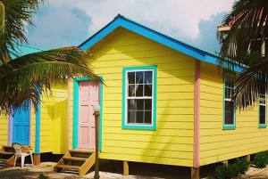 Bayahibe: Monkeyland and Country House Tour with Pickup