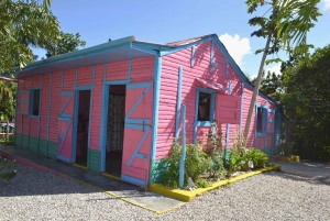 Bayahibe: Monkeyland and Country House Tour with Pickup