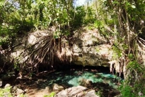 Bayahibe: National Park Jungle Walk & Snorkeling in Cenotes