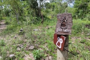 Bayahibe: Caminhada pela selva do Parque Nacional e mergulho com snorkel em cenotes