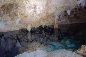 Bayahibe: Caminhada pela selva do Parque Nacional e mergulho com snorkel em cenotes
