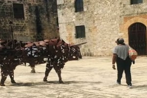 Bayahibe eller Punta Cana: Dagstur til Santo Domingo med lunsj