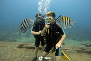 Bayahibe - PADI Advanced Course Diving - Go Dive
