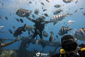 Bayahibe - PADI Advanced Course Diving - Go Dive