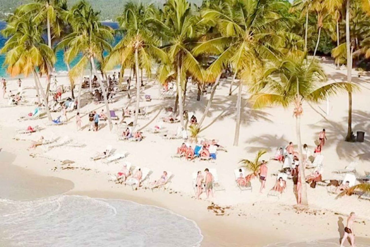 Bayahibe: Samaná und Miches Walbeobachtung Tagestour