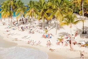 Bayahibe: Samaná und Miches Walbeobachtung Tagestour