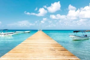 Bayahibe: Samaná and Miches Whale Watching Day Trip