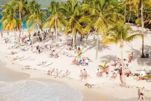 Bayahibe: Samaná und Miches Walbeobachtung Tagestour