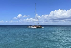 Bayahibe : Tour en bateau de l'île de Saona, petit groupe