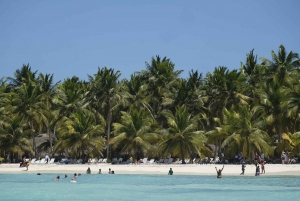 Bayahibe : Tour en bateau de l'île de Saona, petit groupe