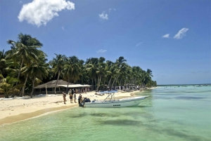 Bayahibe: Wycieczka łodzią na wyspę Saona w małej grupie