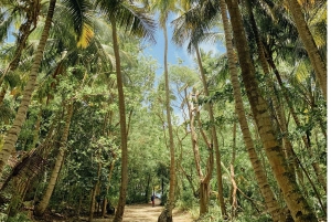 Bayahibe: Tour in barca dell'isola di Saona per piccoli gruppi