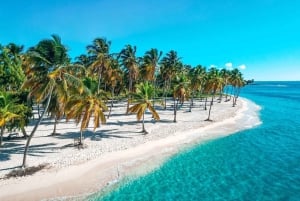 Bayahibe: Saona Island Catamaran Cruise with Natural Pool