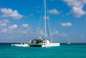 Bayahibe: Saona Island Catamaran Cruise with Natural Pool