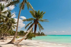 Bayahibe: Catamarantocht naar Saona Island met lunch en drankjes