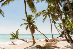 Bayahibe: Catamarantocht naar Saona Island met lunch en drankjes